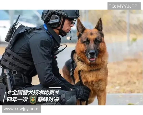 城南一和与光州的激烈对决展现足球魅力与团队精神的巅峰对抗